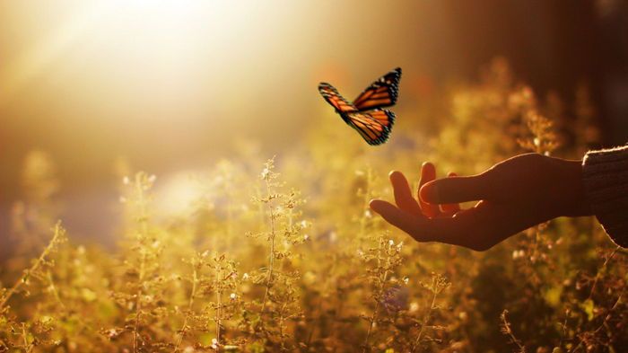 8 правил счастливых людей 8 правил счастливых людей