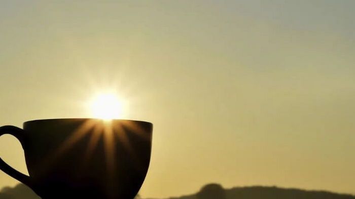 Проснись и пой: 4 причины вставать раньше по утрам Проснись и пой: 4 причины вставать раньше по утрам