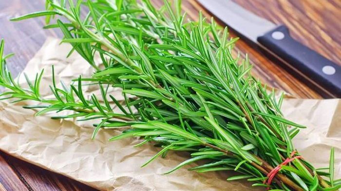 Как вырастить розмарин на собственной кухне