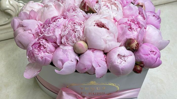 11 фактов о пионах, которые нужно знать не только флористам