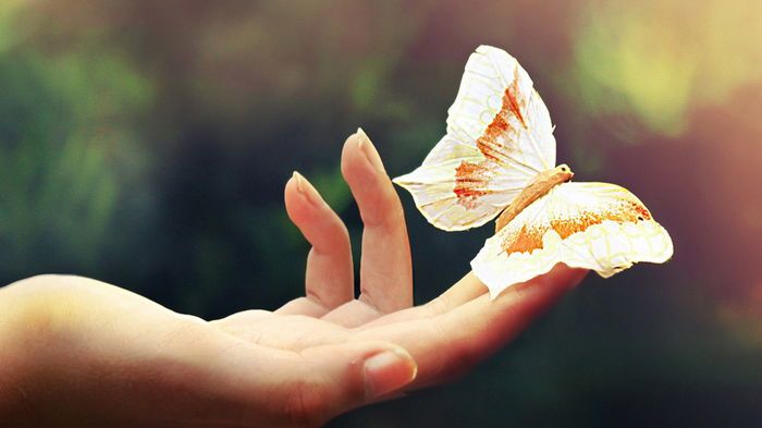 Кто из знаков зодиака самый чувственный Кто из знаков зодиака самый чувственный