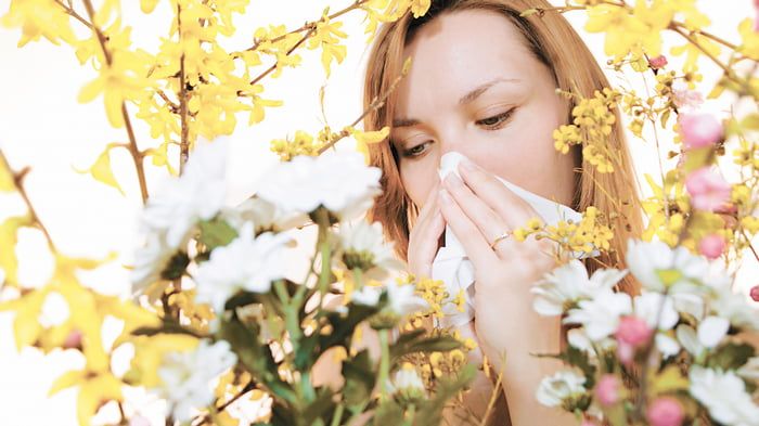 Сезонный поллиноз: как облегчить аллергию на пыльцу растений