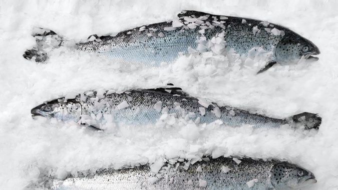 Как быстро разморозить рыбу? Как быстро разморозить рыбу?