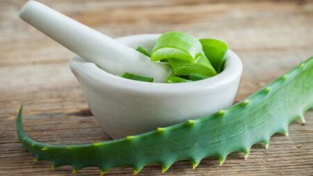 Полезные свойства алоэ