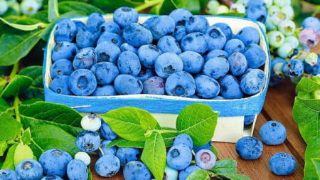 Почему этим летом вы должны съесть как можно больше голубики