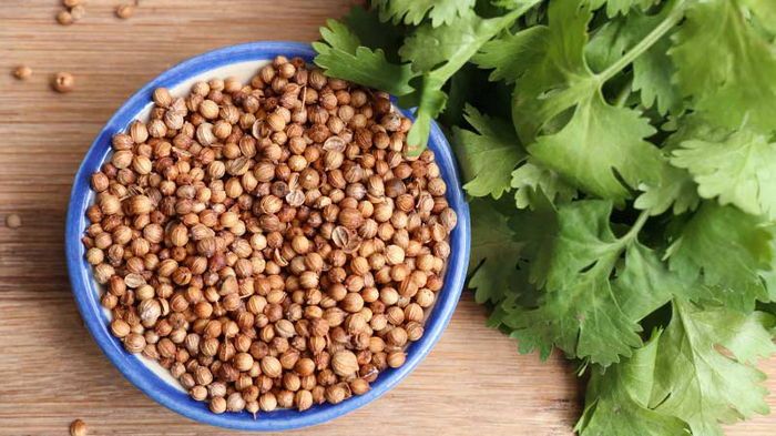 Как использовать кориандр Как использовать кориандр