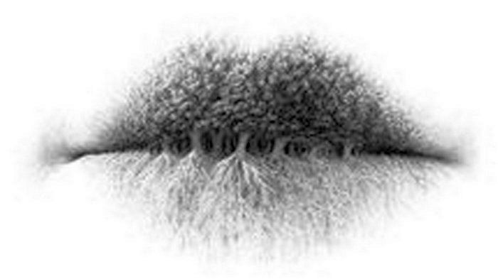 То, что вы увидели на картинке в первую очередь, расскажет о вас лучше любого психолога То, что вы увидели на картинке в первую очередь, расскажет о вас лучше любого психолога