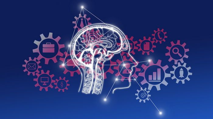 14 фактов о том, как работает наш мозг