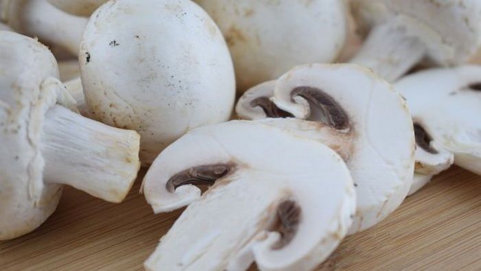 Как понять, что шампиньоны испортились: такие грибы есть нельзя