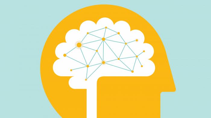 7 естественных способов улучшить свою память 7 естественных способов улучшить свою память