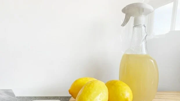 Як прибрати запах старості в квартирі Як прибрати запах старості в квартирі