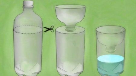 Самая простая ловушка для комаров из пластиковой бутылки: полезный лайфхак