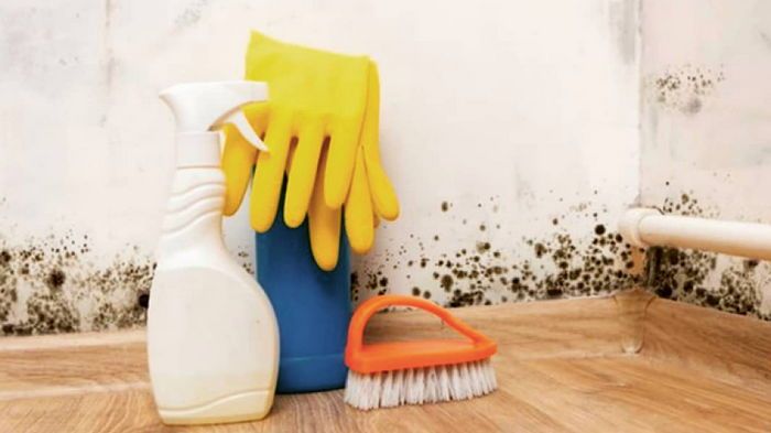 Хозяйки рассказали, чем убить черную плесень в ванной: 5 средств