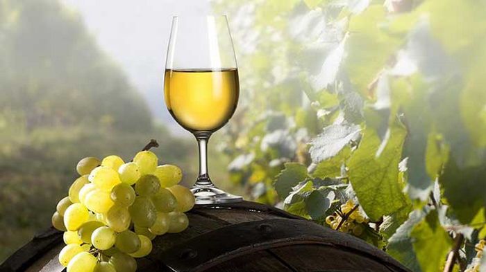 Вкусное домашнее вино: рецепт приготовления из белого винограда Вкусное домашнее вино: рецепт приготовления из белого винограда
