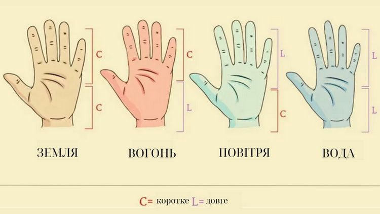 Форма рук подскажет ваши сильные и слабые стороны: простой тест