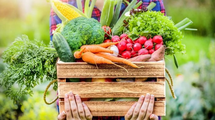 Фермерские продукты: почему стоит выбрать их, а не магазинные аналоги