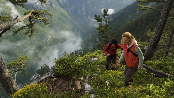 4 совета на случай, если когда-то вы заблудитесь в лесу 4 совета на случай, если когда-то вы заблудитесь в лесу