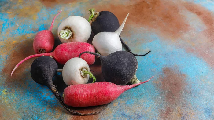 Какая редька самая полезная и когда ее можно есть Какая редька самая полезная и когда ее можно есть