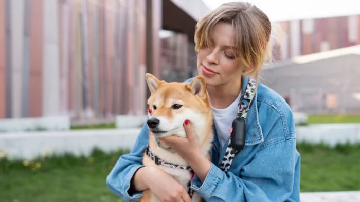 Ветеринар рассказала, сколько лет живут собаки