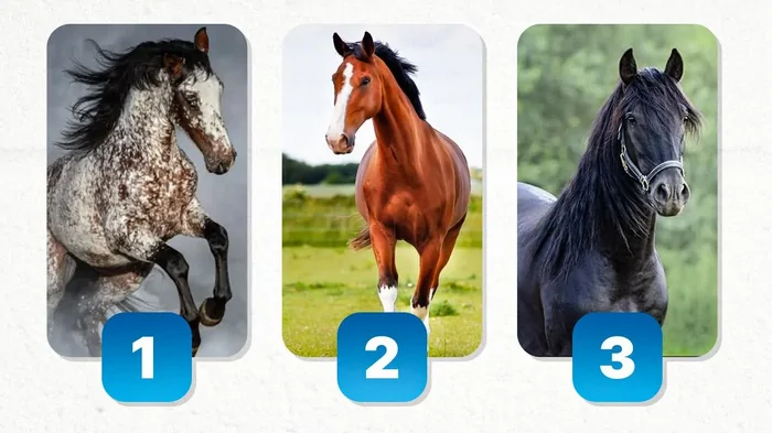 Какой вы друг на самом деле: удивительно точный тест на дружбу Какой вы друг на самом деле: удивительно точный тест на дружбу