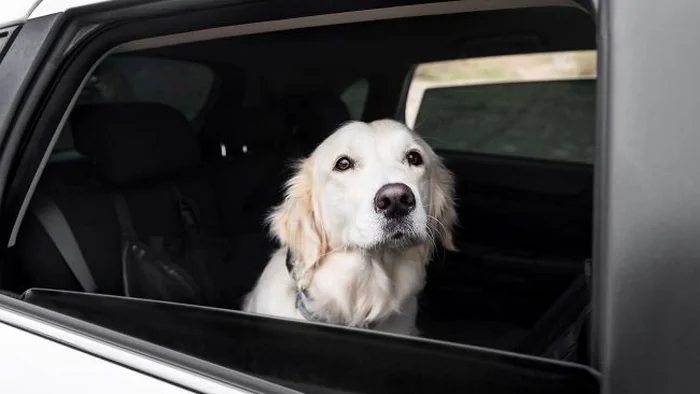 Люк, кондиционер или открытые окна: как экономнее настроить микроклимат в салоне авто Люк, кондиционер или открытые окна: как экономнее настроить микроклимат в салоне авто