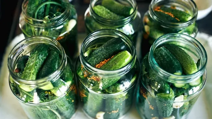 Малосольные огурцы: самый простой рецепт вкусной закуски Малосольные огурцы: самый простой рецепт вкусной закуски