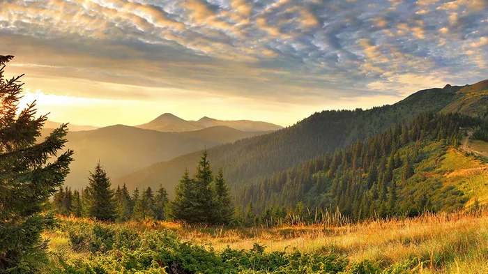 Як обрати санаторій на Закарпатті, що відповідає вашим побажанням та бюджету