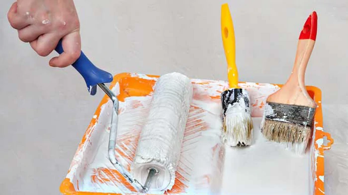 лоток для фарби