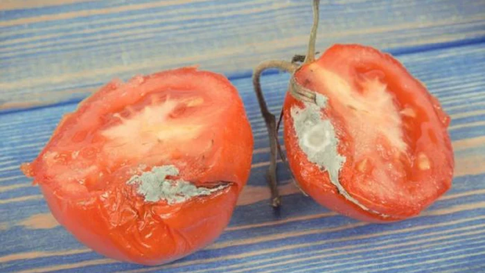 Можно ли есть овощи и фрукты с плесенью? Узнайте правду Можно ли есть овощи и фрукты с плесенью? Узнайте правду