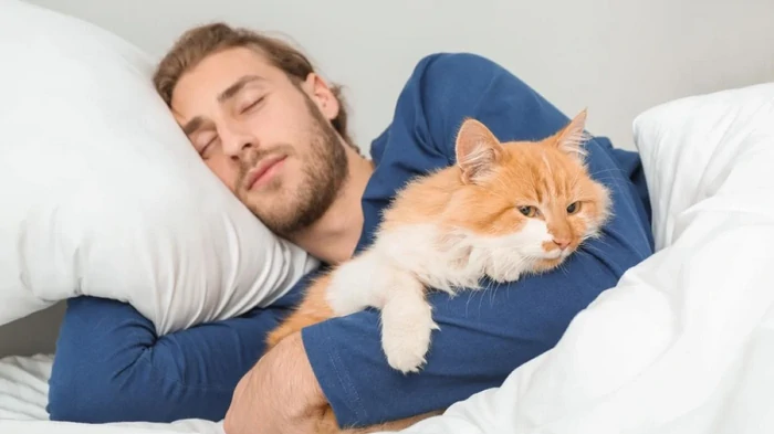 Почему кот мяукает по ночам: специалист назвала распространенные причины Почему кот мяукает по ночам: специалист назвала распространенные причины