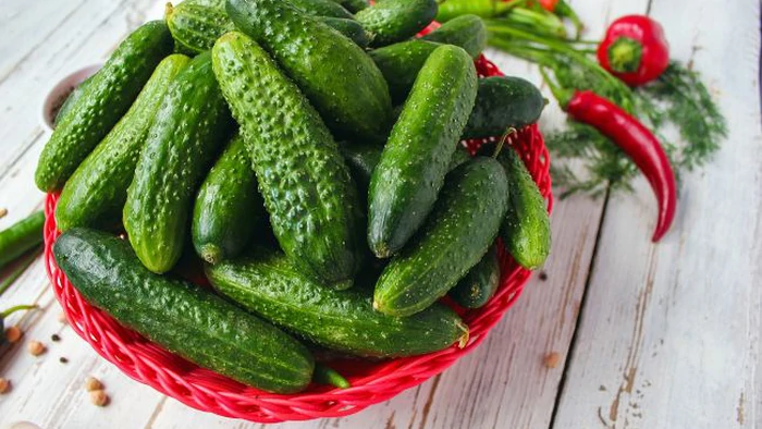 5 причин есть ежедневно огурцы: узнайте, кому их также нельзя 5 причин есть ежедневно огурцы: узнайте, кому их также нельзя