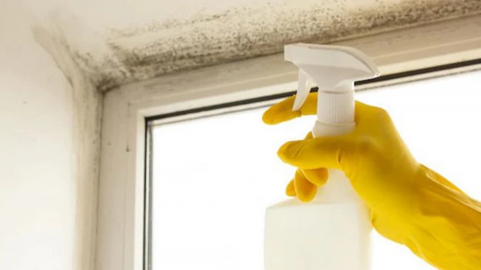 Как избавиться от черной плесени в ванной комнате Как избавиться от черной плесени в ванной комнате