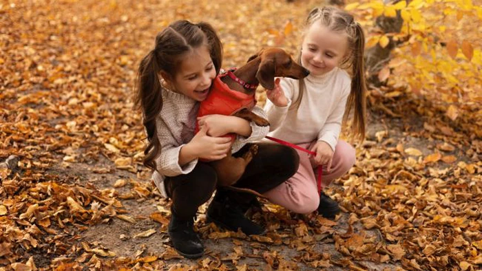 Вашему ребенку тяжело заводить друзей? Есть 2 способа, которые помогут