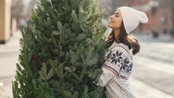 Какая елка лучше: живая или искусственная? Неожиданные плюсы и минусы