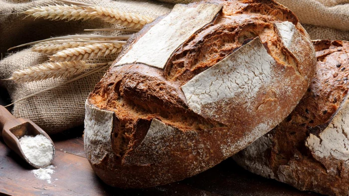 Хлеб без замеса: британский телеповар поделился простым рецептом выпечки Хлеб без замеса: британский телеповар поделился простым рецептом выпечки