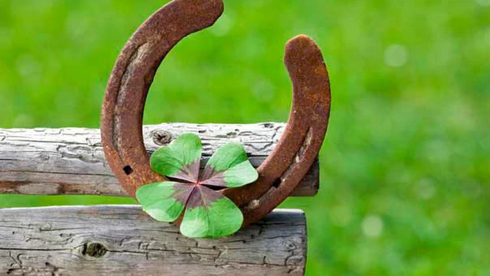 4 знака Зодиака, чья аура наполнена удачей