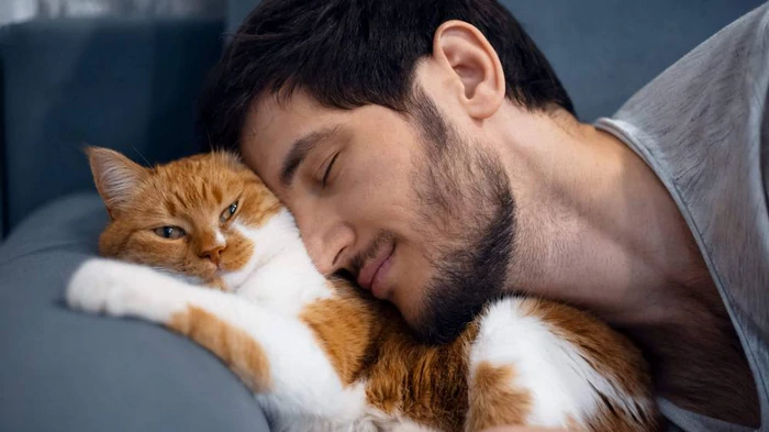 Почему кот спит возле головы: ветеринарка назвала 10 трогательных причин Почему кот спит возле головы: ветеринарка назвала 10 трогательных причин