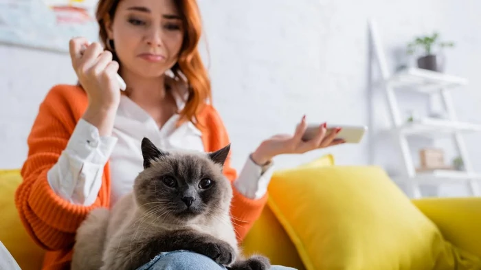 Понимают ли коты, когда вам грустно: ветеринар исследовала поведение домашних любимцев