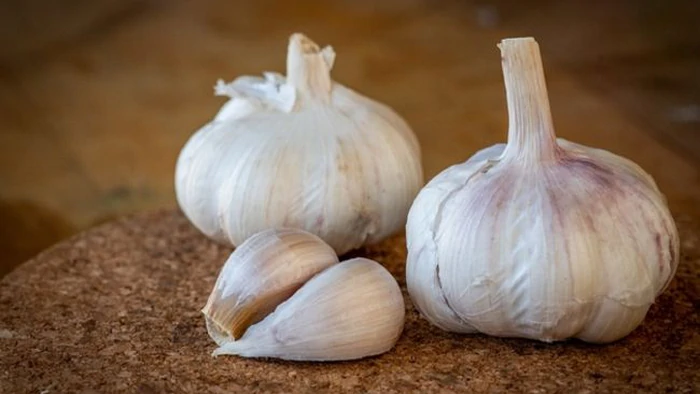 Когда сажать чеснок в апреле: лучшие дни для активного роста
