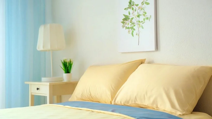 Как часто нужно стирать подушки: эксперты по уборке дали действенные советы Как часто нужно стирать подушки: эксперты по уборке дали действенные советы