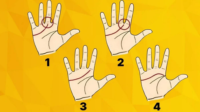 Какой у вас характер: точный тест на личность по линии на ладони Какой у вас характер: точный тест на личность по линии на ладони