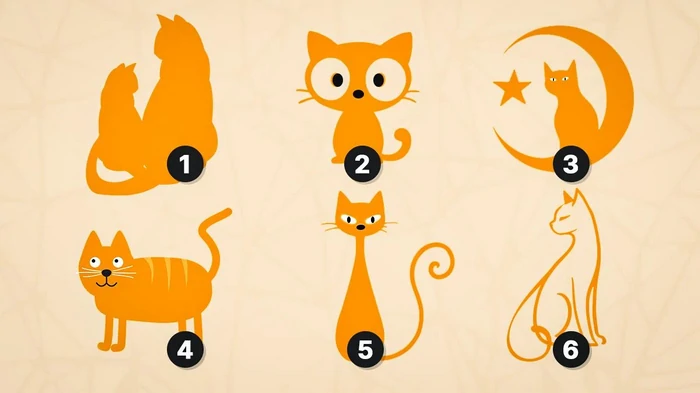 Тест на черты характера: что выбор кота говорит о вашей личности Тест на черты характера: что выбор кота говорит о вашей личности