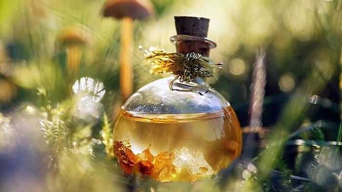 Как природные ароматы влияют на наше тело и разум Как природные ароматы влияют на наше тело и разум