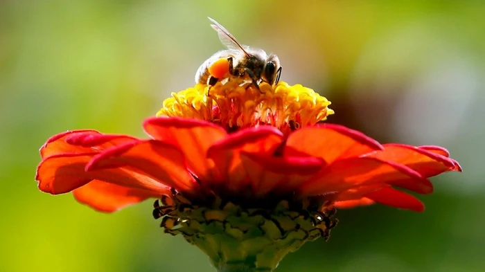 Лечение аллергии: врач рассказал, какие методы работают, а какие — нет