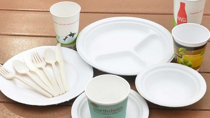 Как выбрать и где выгодно купить одноразовые пластиковые тарелки?