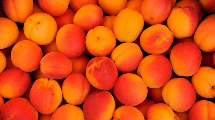 Как правильно хранить абрикосы: действенные советы Как правильно хранить абрикосы: действенные советы