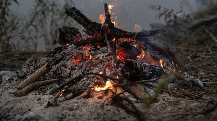 Пепел как удобрение: использование дома, на участке в саду и на огороде Пепел как удобрение: использование дома, на участке в саду и на огороде