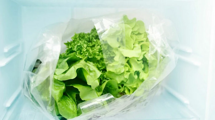 Салат будет оставаться свежим целых две недели: как правильно хранить зелень в холодильнике Салат будет оставаться свежим целых две недели: как правильно хранить зелень в холодильнике