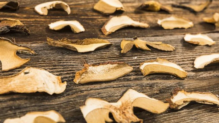 Худшая ошибка при сушке грибов: весь урожай придется выбросить