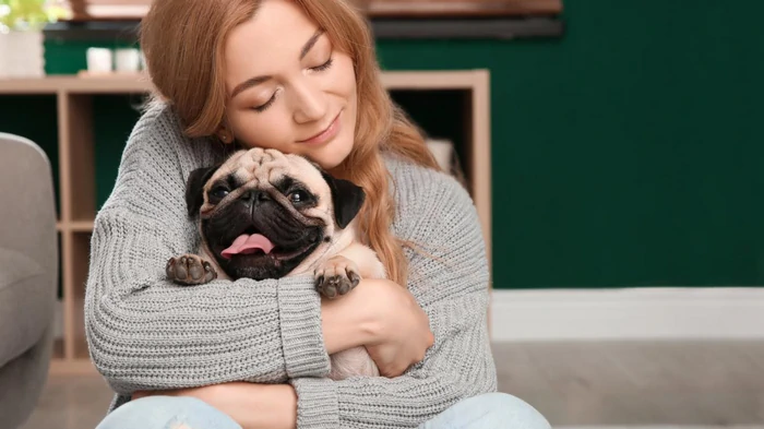 Какие собаки являются добрыми и нежными: ветеринары назвали 6 самых ласковых пород